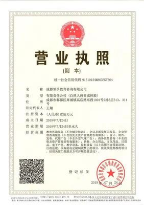 成都领孚教育咨询